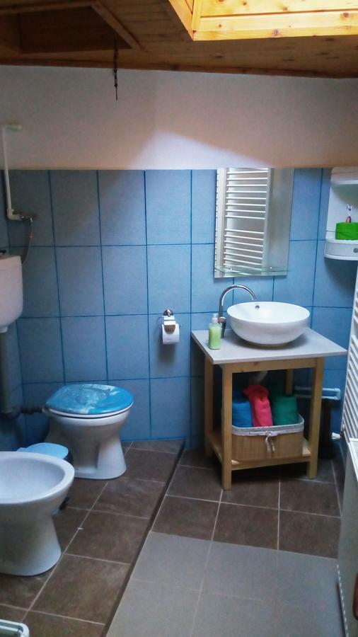 Casa Felix Apartment Sinaia Ngoại thất bức ảnh
